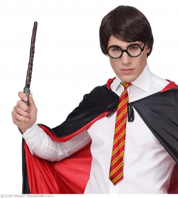 Αποκριάτικο σετ 3τμχ Harry Potter από την εταιρία Epilegin. Αποκριάτικο σετ 3τμχ Harry Potter από την εταιρία Epilegin.