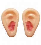  ����������� ����� "Giant Goofy" 