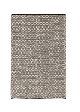  Dhawan - 160x230    Epilegin.