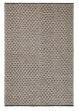  Dhawan - 200x300    Epilegin.