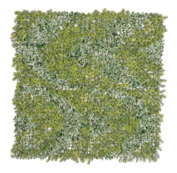 ����� - ������� ����� Mix Reflection 100X100cm ��� ��� ������� Epilegin.