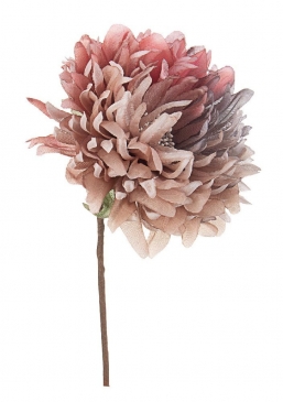    taupe 21cm     Epilegin.