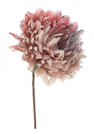    taupe 21cm 