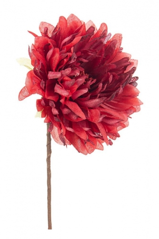    Christmas Red 21cm 