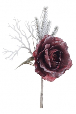     Oxbood 30cm    Epilegin.