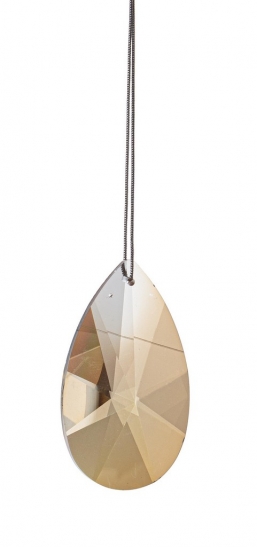     amber 6,5    Epilegin.