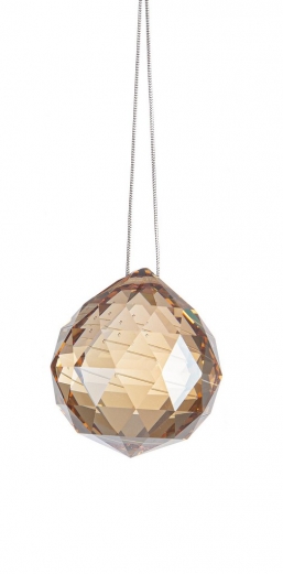     amber 5    Epilegin.