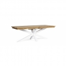    & Teak Palmdale White 300100cm 