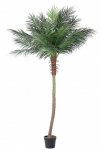  Palma Plant 21Leaves W-Vase H300 