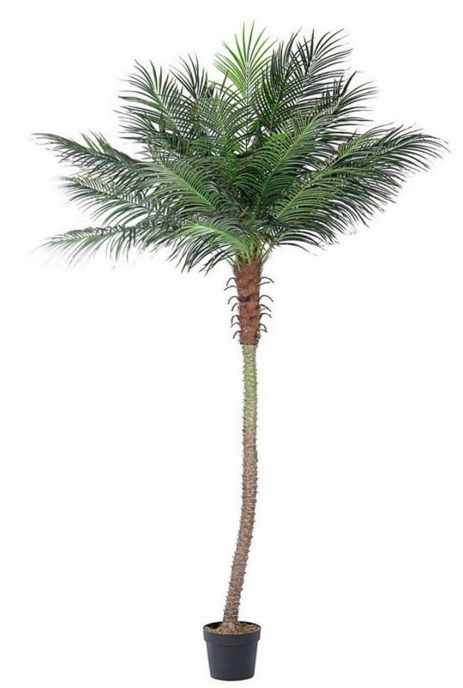  Palma Plant 21Leaves W-Vase H300    Epilegin. 