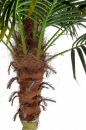  Palma Plant 18Leaves W-Vase H210 