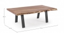   Coffee Table "Aron" 115X65cm 