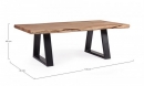    Artur Coffee Table 115x65x40 cm 
