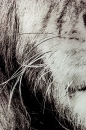  Plexy Painting 220 90X120 