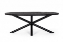  Hastings Oval Table 200X110 