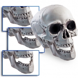 ����������� ������������ ����������� ����� 15 ��.                    ��� ��� ������� Epilegin.