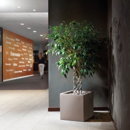  Lyxo Design Cosmos cube pot  35cm    Epilegin.