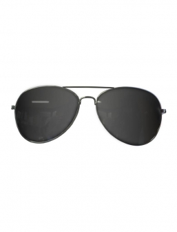    -                              Epilegin.