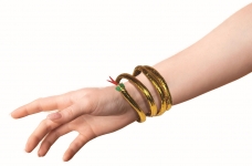  ����������� �������� "Cleopatra" �� ���� 