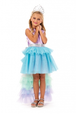   Princess Aisha     Epilegin.