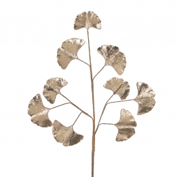     Light Gold 72cm     Epilegin.