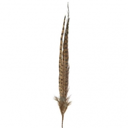    Velvet Brown 83cm    Epilegin.