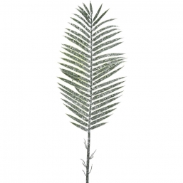   Frosted Green 85cm    Epilegin.