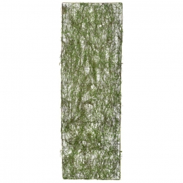     50150                                     Epilegin.