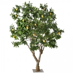  ������ ������� 250�� 