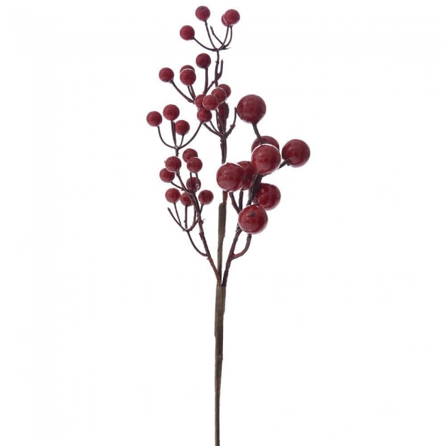      berries 40cm    Epilegin. 