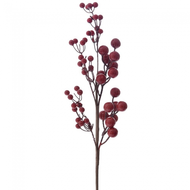       berries 60cm    Epilegin. 