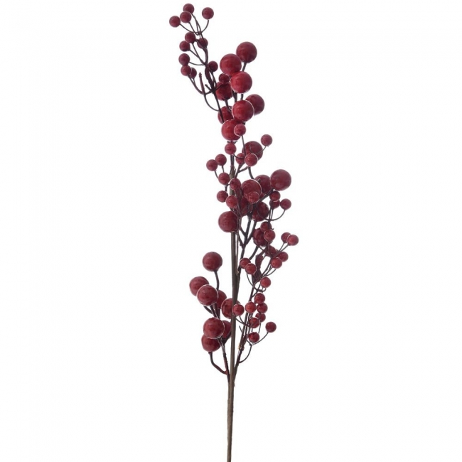       berries 80cm    Epilegin. 