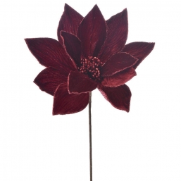    Velvet Oxblood 2560cm    Epilegin.