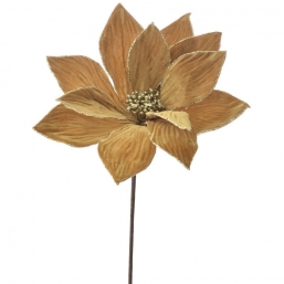    Velvet Gold 2560cm    Epilegin.