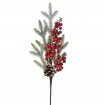     Berries &  50cm 
