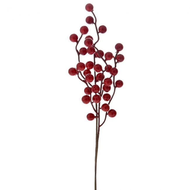       berries 32cm    Epilegin. 