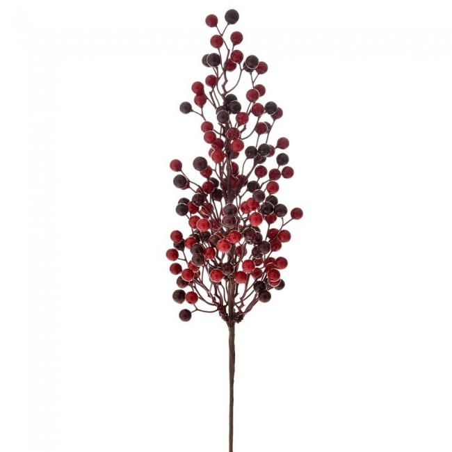         berries 60cm    Epilegin. 