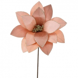    Pink 25 65cm    Epilegin.