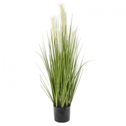 Γλαστρα Με Grass Και Pampas 94Ek από την εταιρία Epilegin.  Γλαστρα Με Grass Και Pampas 94Ek από την εταιρία Epilegin.