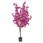  ������������ ���� "�����������" ������ 150�� 