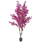  ���� ����������� 210�� �� �������� ������� 