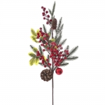       berries &  50cm 