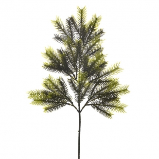      48cm