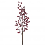       berries 60cm 