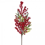      berries 66cm 