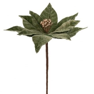 ����������������� �������� ����������� ������� 35�� 