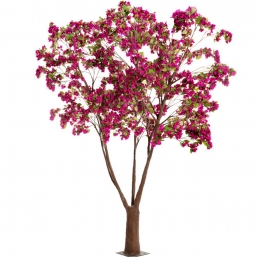 ������� ���� ������ ����������� 3.20m ��� ��� ������� Epilegin.