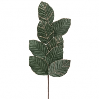 ����������������� ����� �� ����� ������� 70��