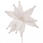  ����������������� �������� ����������� �� ������ ����� 60�� 