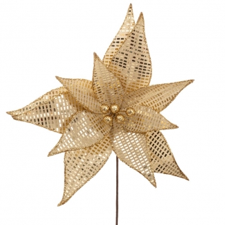 ����������������� �������� ����������� �� ��� �������� ����� 35�� 